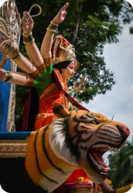 rectangle_3120.webp